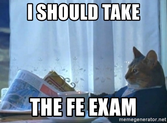 I should take The FE Exam - newspaper cat realization / PrepFE